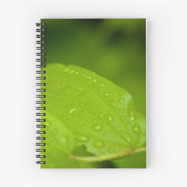 Item preview, After the Rainfall 2 designed and sold by Rick Ruppenthal.