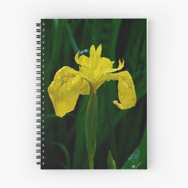 Item preview, Wild Iris designed and sold by Jeffrey  Sinnock.