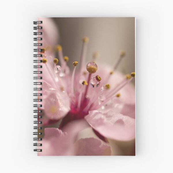 Item preview, Capture designed and sold by Jenni77.