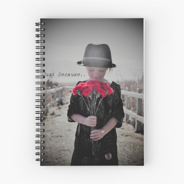 Item preview, Just Because designed and sold by Melinda  Ison - Poor.