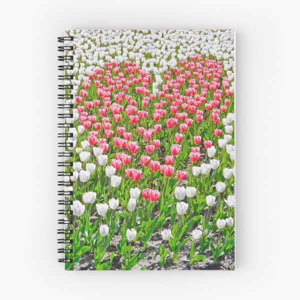 Artikelvorschau, Tulip Heart entworfen und verkauft von Intrepix.