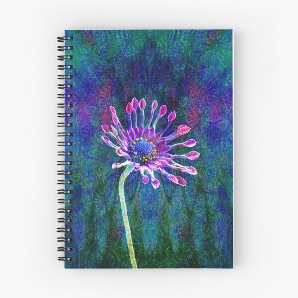 Aperçu de l'œuvre African Daisy créée et vendue par Bill Brouard.