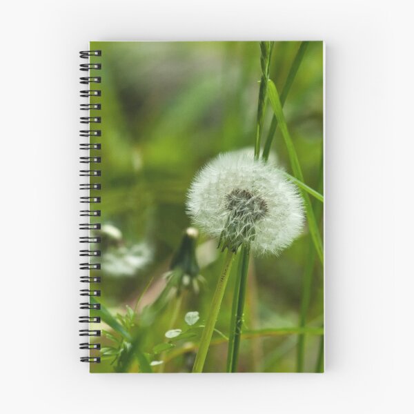 Item preview, Dandy designed and sold by Rick Ruppenthal.