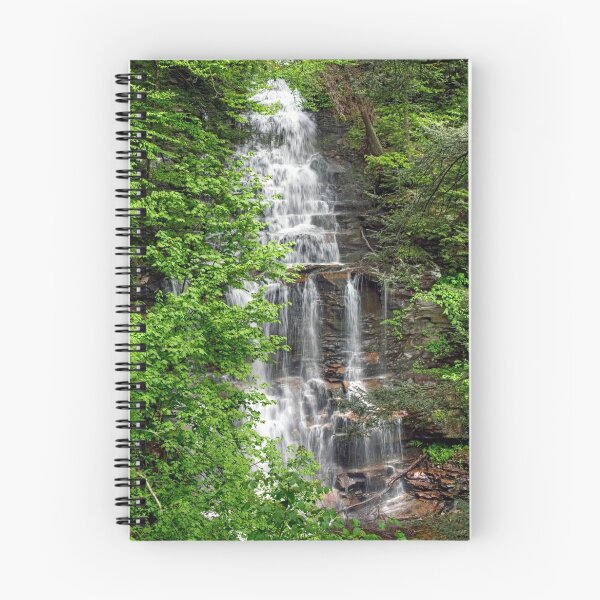 Item preview, Great Ganoga Falls Through The Trees designed and sold by Gene Walls.