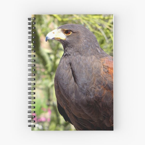 Item preview, Harris's Hawk ~ Profile  designed and sold by Luck of the Shutter.