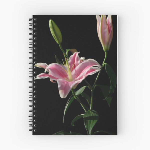 Item preview, Pink Lilies designed and sold by Craig Hender.