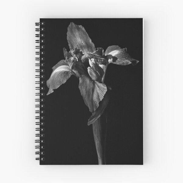 Item preview, Iris b&w designed and sold by Craig Hender.