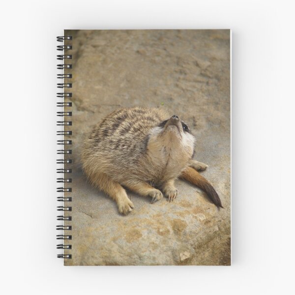 Item preview, Slender Tailed Meerkat designed and sold by weigi.