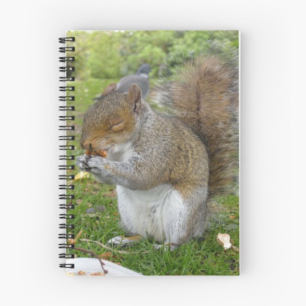 Item preview, Chester Park Squirrel designed and sold by Harri.