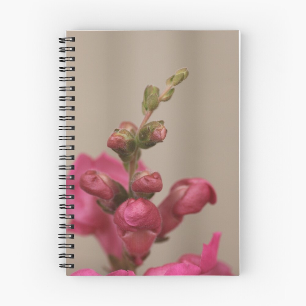 Item preview, Spiral Notebook designed and sold by cking.