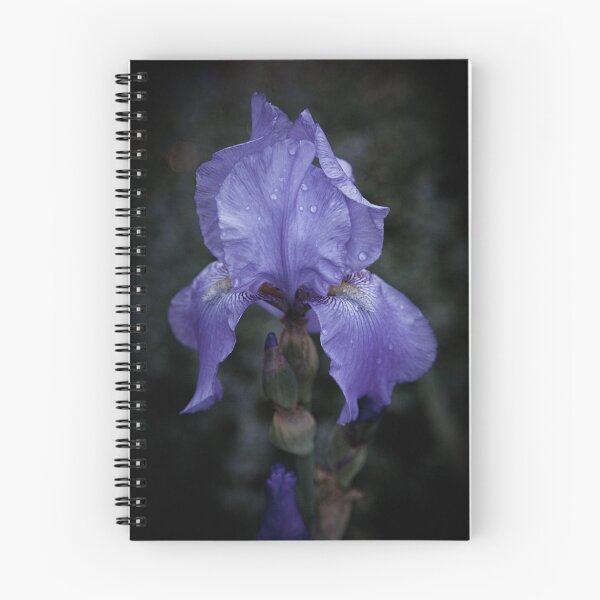 Item preview, Blue Iris designed and sold by Chris Lord's Pixielated Pixels.