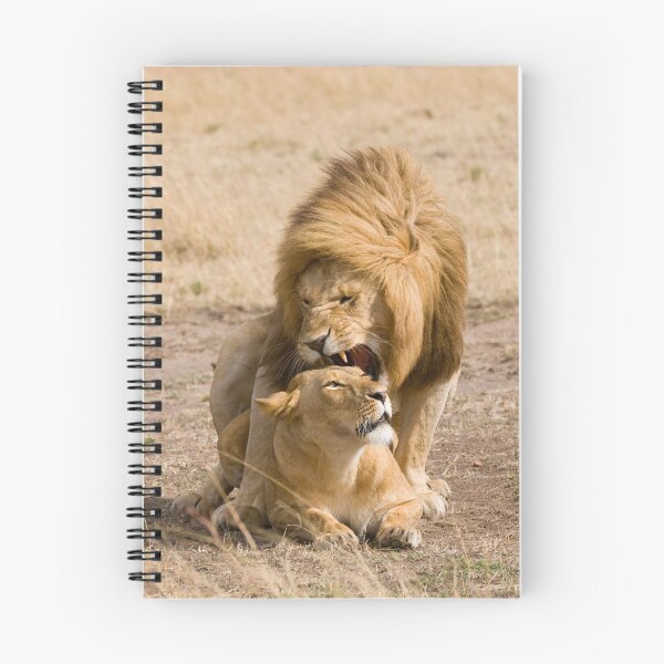 Item preview, Mara Lions designed and sold by Sue Earnshaw.