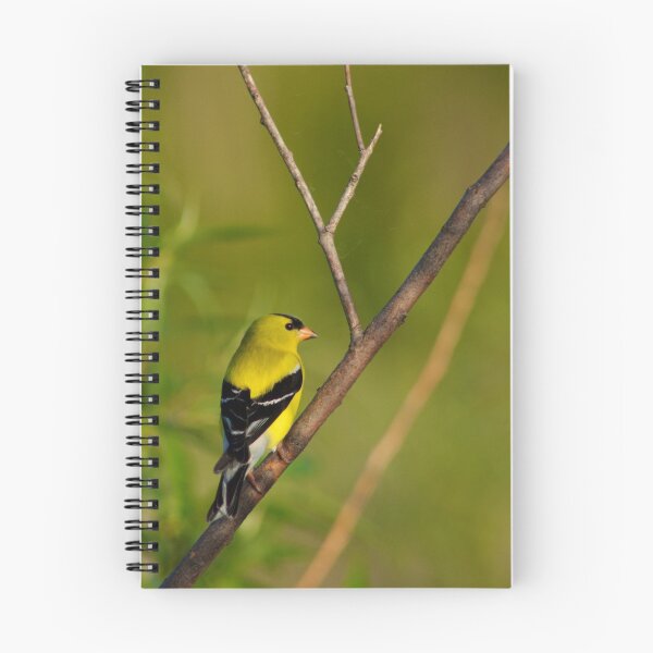 Item preview, American Goldfinch Male designed and sold by Jessica Dzupina.