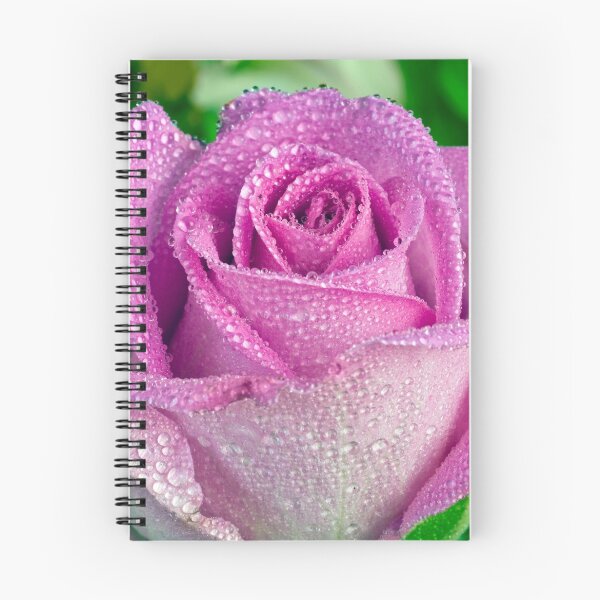 Item preview, Dew-kissed rose designed and sold by friendlydragon.