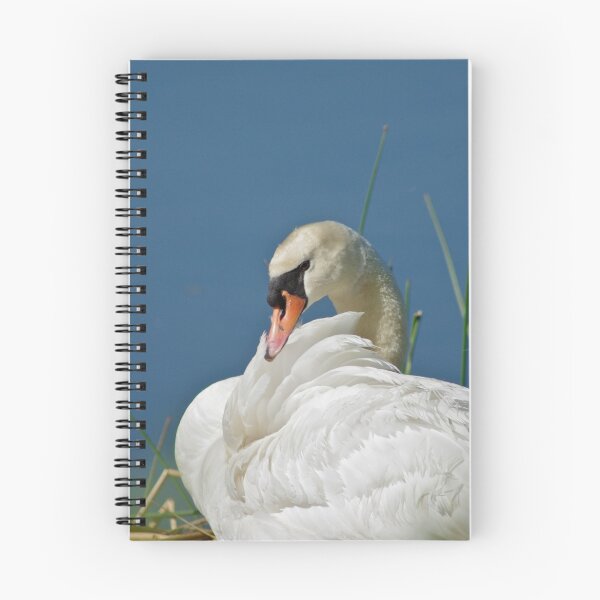 Item preview, Mute Swan Preening designed and sold by Jessica Dzupina.