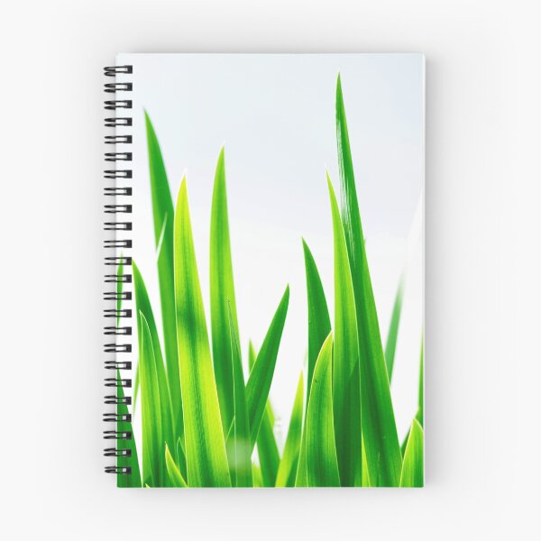 Artikelvorschau, Tall Grasses entworfen und verkauft von Jessica Dzupina.
