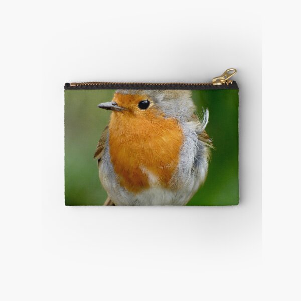 Item preview, Robin designed and sold by Louisamhocking.