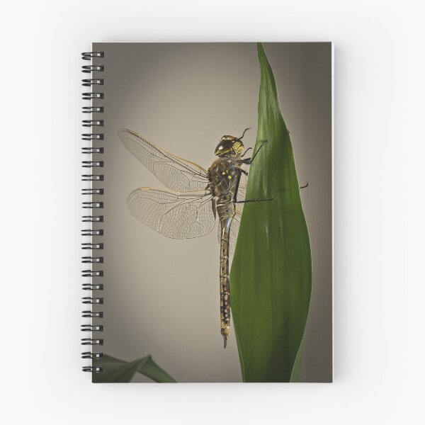 Item preview, Dragonfly designed and sold by Craig Hender.
