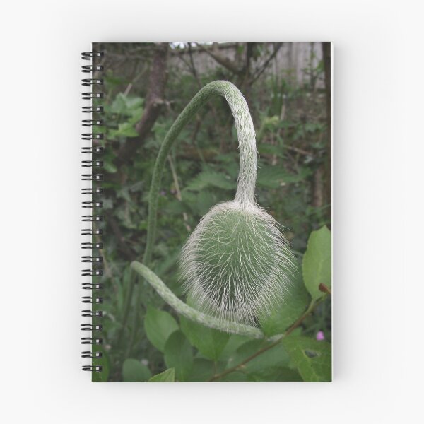 Item preview, A Poppy bud designed and sold by poohsmate.