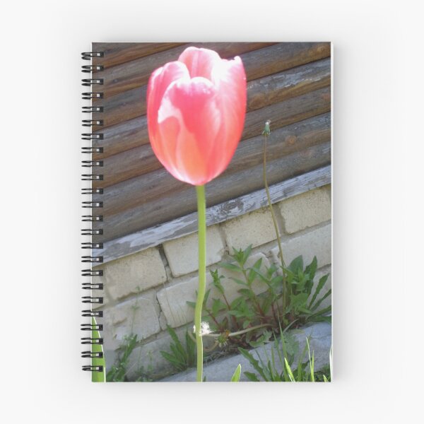 Item preview, One tulip designed and sold by ThreeHi.
