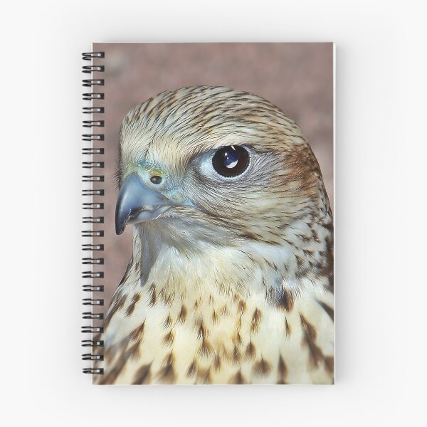 Item preview, Saker Falcon. designed and sold by Aj Finan.