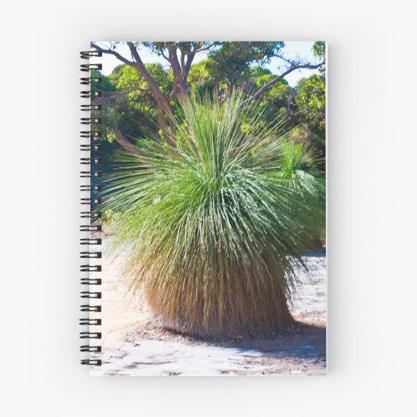 Item preview, Grass Tree 2, Whiteman Park WA designed and sold by KBloodGallery.