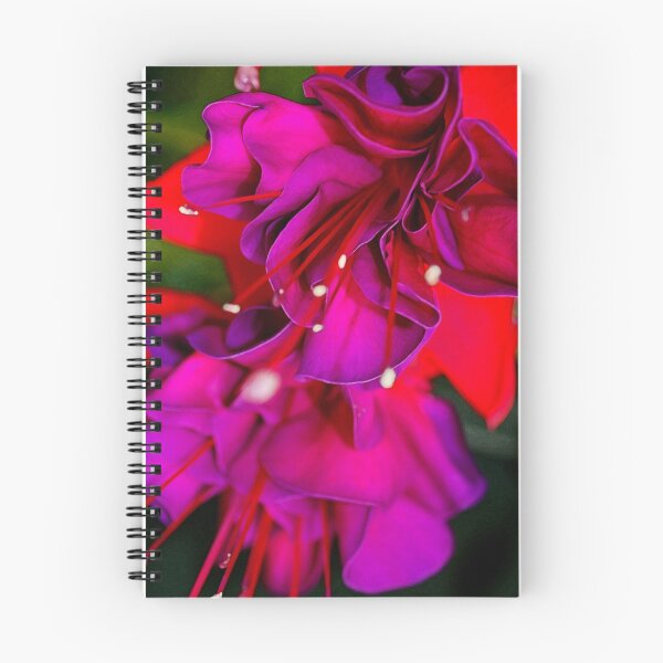 Item preview, Fuschia designed and sold by Chet  King.