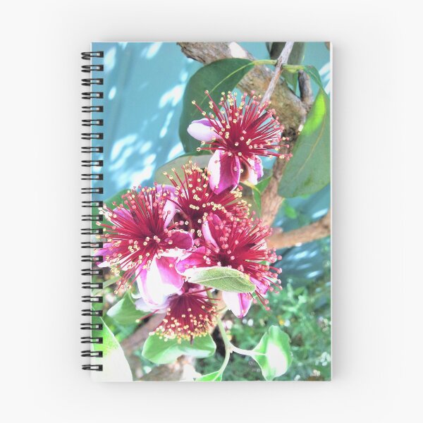 Item preview, Fejoa in Blossom  designed and sold by Giro Tavitian.