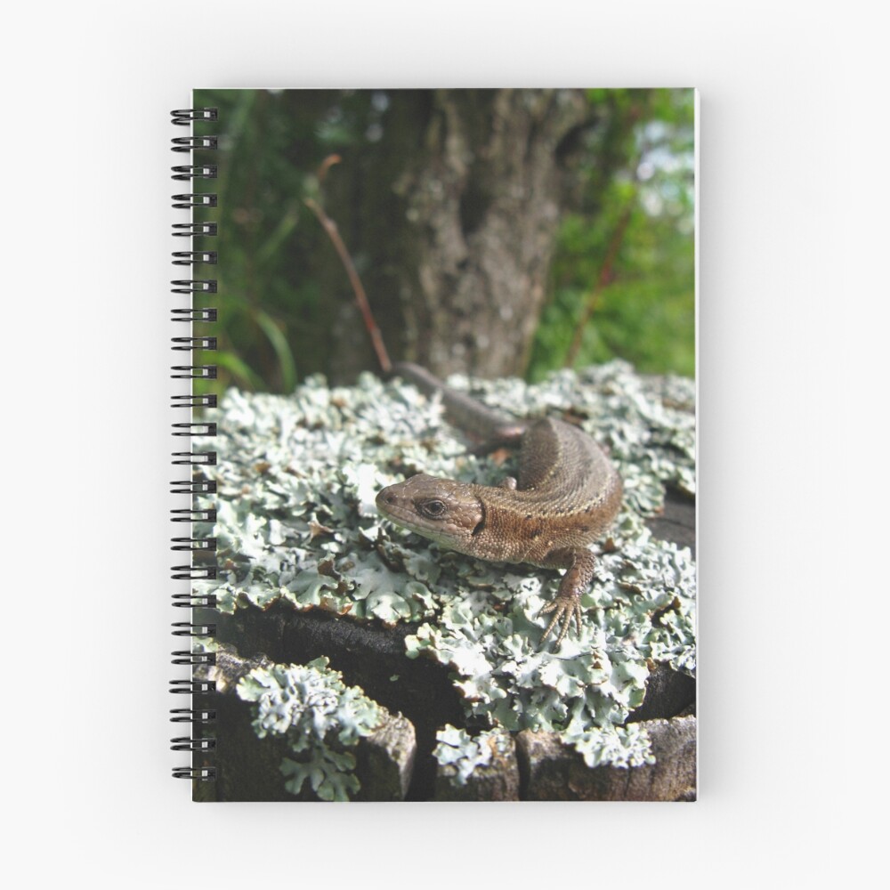 Item preview, Spiral Notebook designed and sold by ThreeHi.