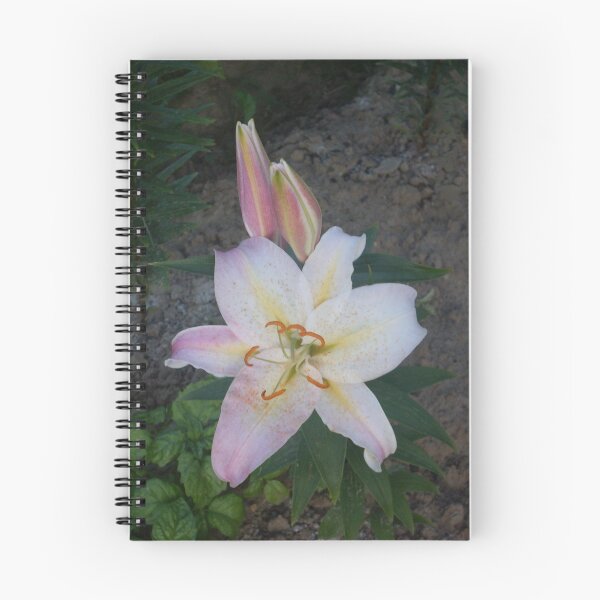 Artikelvorschau, Blossoming lilies entworfen und verkauft von ThreeHi.