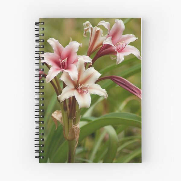Item preview, Riverbanks Garden designed and sold by Debbie Cato.