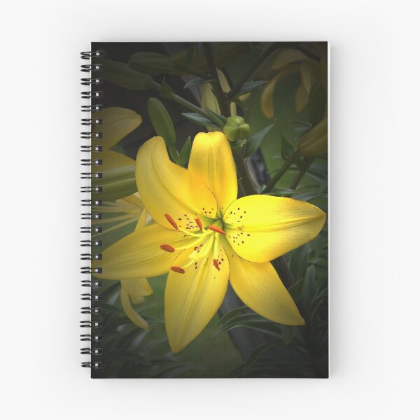 Aperçu de l'œuvre "A Ray Of Sunlight From The Lily" créée et vendue par franticflagwave.