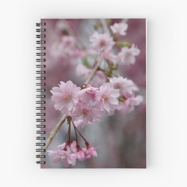 Item preview, Cherry Blossoms at Saga designed and sold by nekineko.