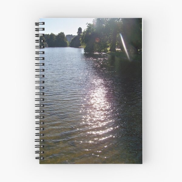 Item preview, light on the lake  designed and sold by liverecs.