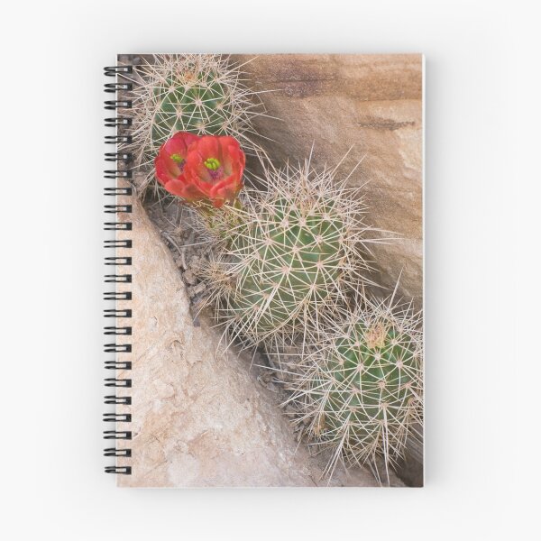 Item preview, Desert beauty designed and sold by Eivor Kuchta.