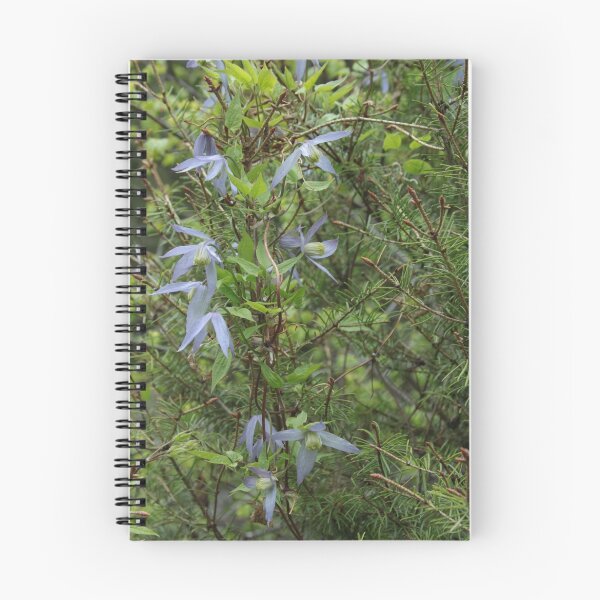 Artikelvorschau, Butterfly Flowers entworfen und verkauft von Paul Morgan.