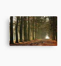 Going out on a sunny December morning Canvas Print