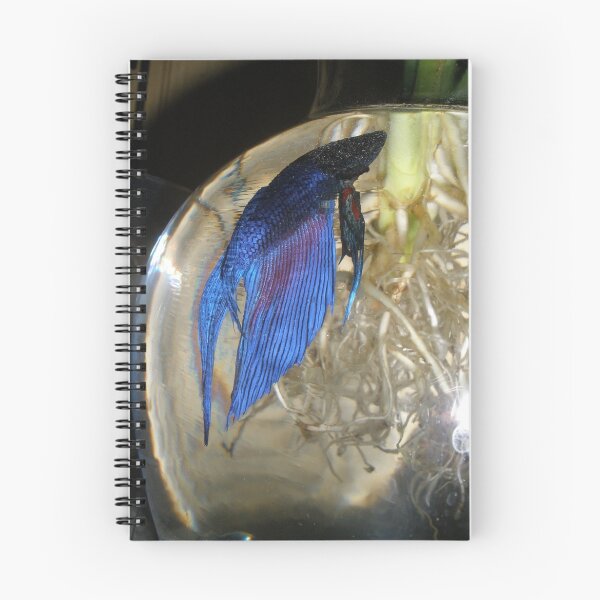 Item preview, beta fish designed and sold by ssphotoshop.