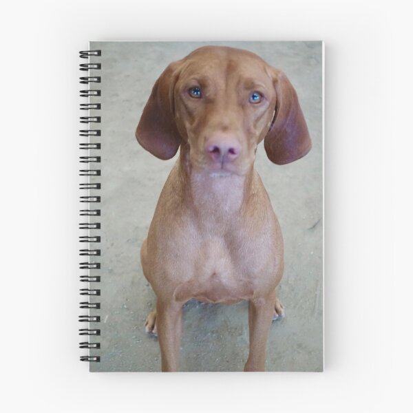 Item preview, Vizsla designed and sold by laurafay.