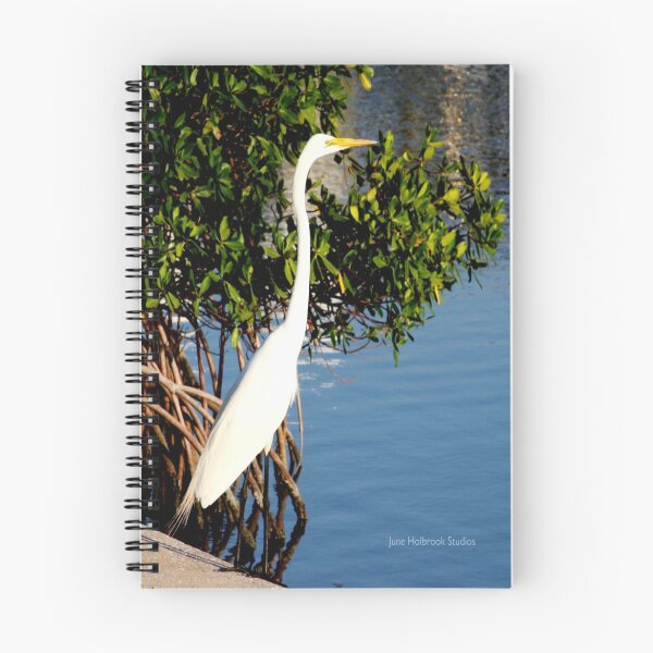 Item preview, Great Egret designed and sold by June Holbrook.