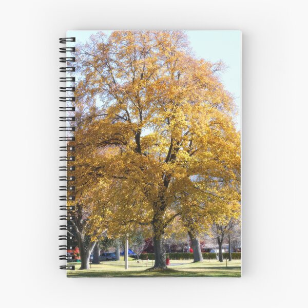Item preview, Fall Spectacular designed and sold by lymbis.