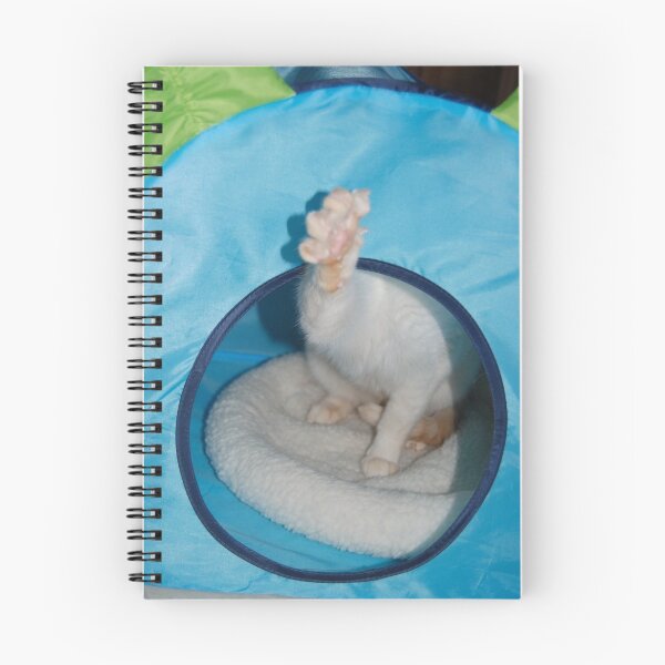 Item preview, ¡Poder del gato! designed and sold by montecore827.