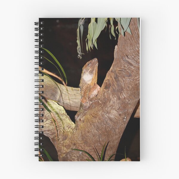 Item preview, Frilled Lizard designed and sold by Sandra Chung.