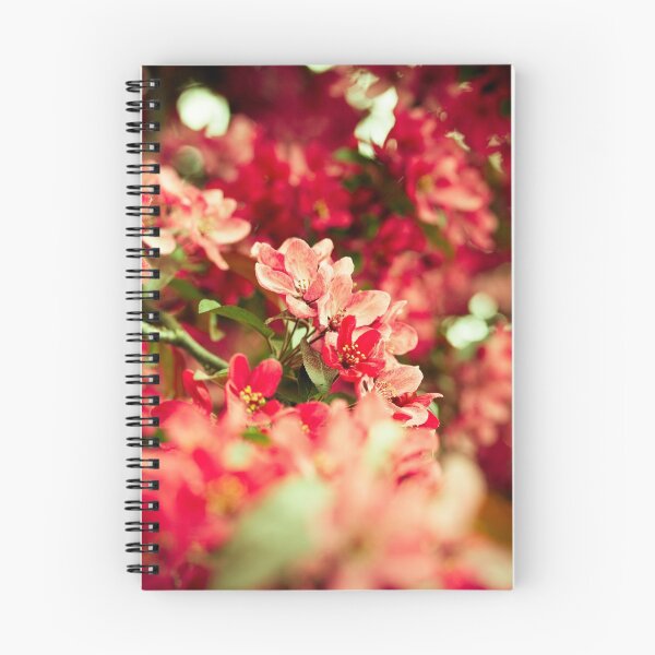 Artikelvorschau, Blossom I entworfen und verkauft von Minna  Waring.