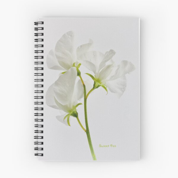 Item preview, Sweet Pea designed and sold by inkedsandra.