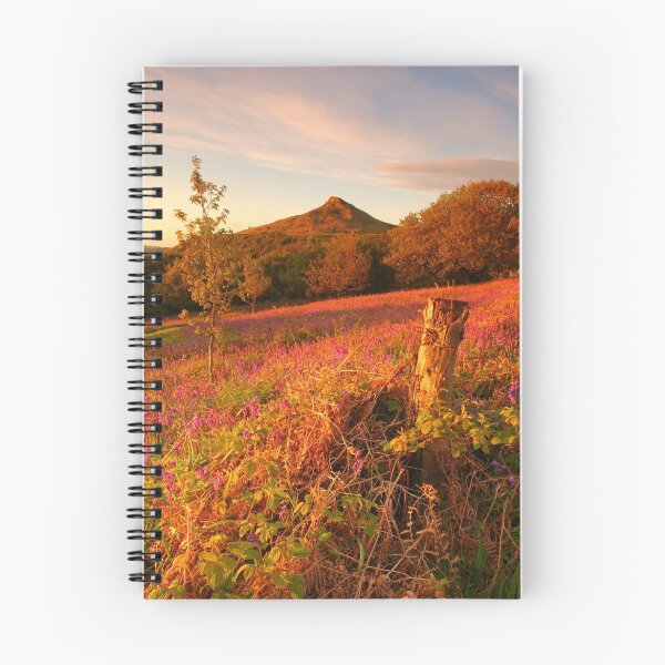 Item preview, Bluebells and Roseberry Topping, Newton Wood, Great Ayton, North Yorkshire Moors designed and sold by James Paul.