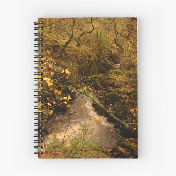 Item preview, Baxenghyll Gorge, Ingleton, Ribblesdale, Yorkshire Dales designed and sold by James Paul.