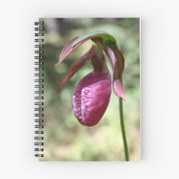 Item preview, Moccasin Flower designed and sold by Alyce Taylor.