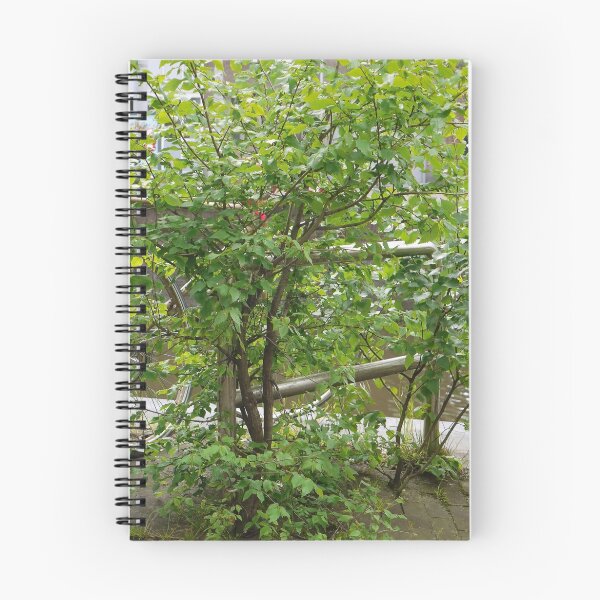 Item preview, The Tree won! designed and sold by Marjolein Katsma.