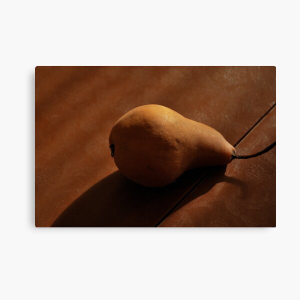 study in amber Canvas Print